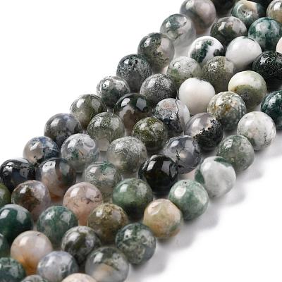 Natural Tree Agate Beads Strands G-I199-03-8mm-1