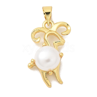 Rack Plating Brass Pendants KK-K293-24E-G-1