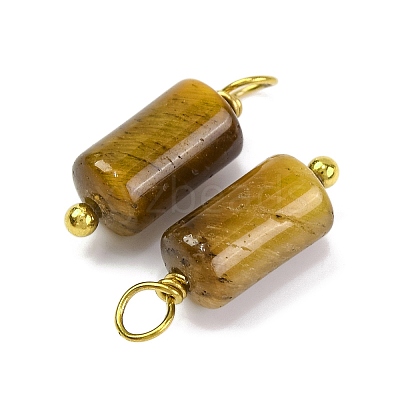 Natural Tiger Eye Cloumn Pendants STAS-H221-04G-02-1