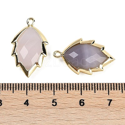 Natural Agate Faceted Leaf Pendants G-I375-04G-14-1