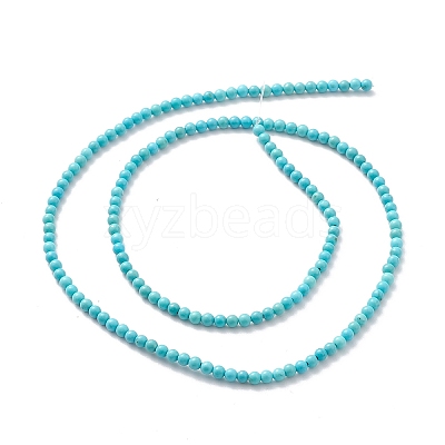 Natural Howlite Beads Strands TURQ-K005-01A-1