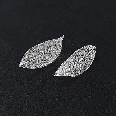 Dried Flower Leaf Craft Supplies AJEW-WH20816-056B-1