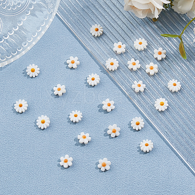 24Pcs 2 Styles Natural Freshwater Shell Beads SHEL-HS0001-05-1