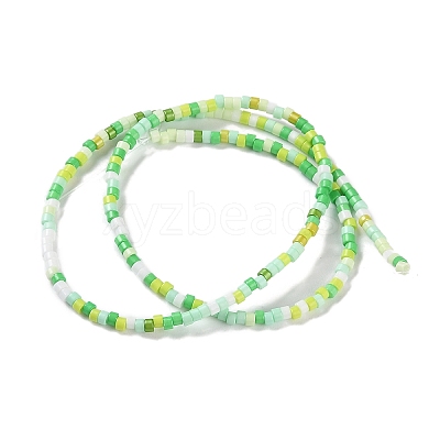 Handmade Lampwork Beads Strands LAMP-L078-008A-1