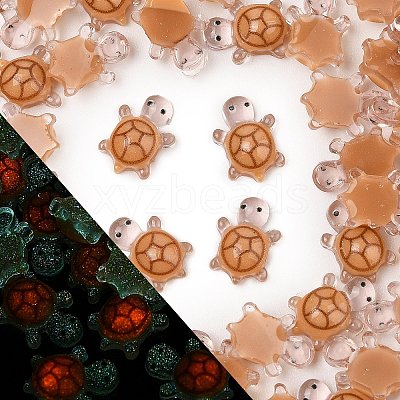 Luminous Resin Cabochons LS-RESI-U003-03E-1