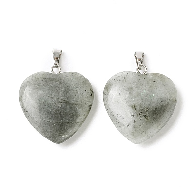 Natural Labradorite Pendants G-G956-B45-FF-1