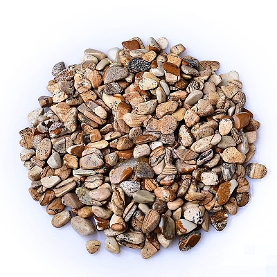 Natural Picture Jasper Tumbled Chips PW-WGA7DCE-23-1