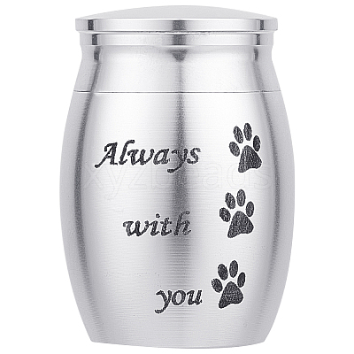 316 Stainless Steel Pet Cinerary Casket AJEW-WH0013-41D-1