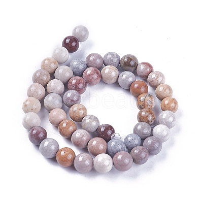 Natural Fossil Coral Beads Strands G-L500-02-6mm-1