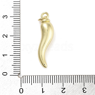 Rack Plating Brass Pendants KK-Z064-23G-1