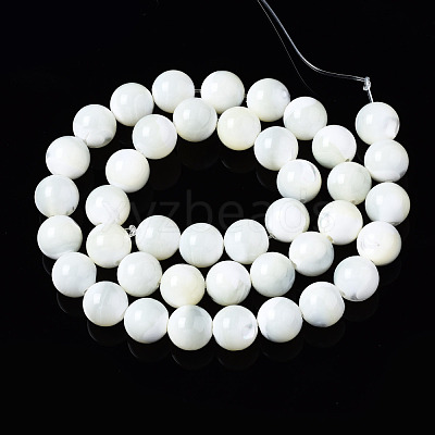 Natural Trochid Shell/Trochus Shell Beads Strands SSHEL-S266-023A-04-1