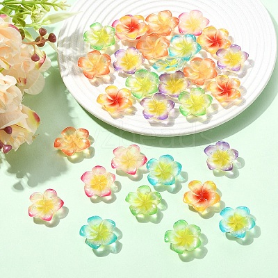 30Pcs 6 Colors Resin Cabochons RESI-YW0005-98-1