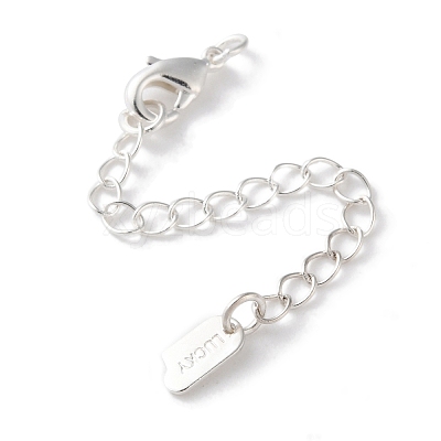 Brass Lobster Clasps & Ends with Chain KK-F880-35S-1