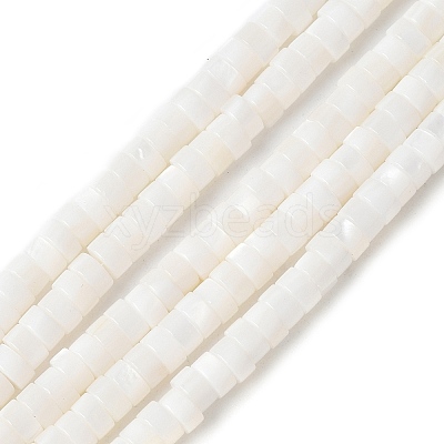 Natural Freshwater Shell Beads Strands X-SSHEL-C013-04B-1