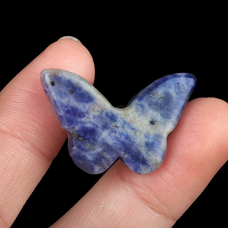 Natural Sodalite Pendants PW-WG51197-15-1