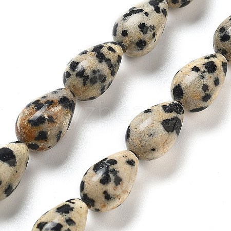 Natural Dalmatian Jasper Beads Strands G-B106-A29-02-1