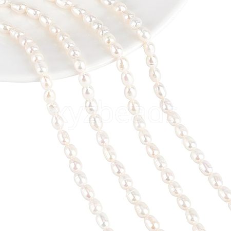  2 Strands Natural Cultured Freshwater Pearl Beads Strands PEAR-NB0001-12-1