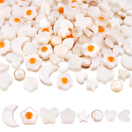  160Pcs 8 Styles Natural Freshwater Shell Beads Strands SHEL-TA0001-08-1