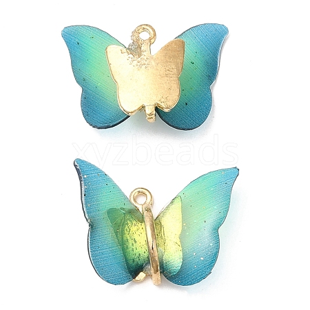 Transparent Resin Pendants PALLOY-K011-02G-04-1