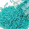 TOHO Round Seed Beads SEED-TR11-PF2104-1