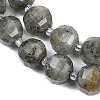 Natural Labradorite Beads Strands G-G182-B02-06-4