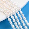 Natural Cultured Freshwater Pearl Beads Strands PEAR-N012-03N-1