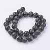 Natural Black Larvikite Bead Strands G-G735-57-12mm-2