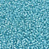 MIYUKI Delica Beads X-SEED-J020-DB1708-3