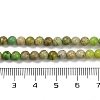 Dyed Natural Regalite/Imperial Jasper/Sea Sediment Jasper Beads Strands G-B124-C04-06-4