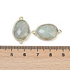 Natural Amazonite Faceted Connector Charms G-K347-11G-04-3