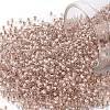 TOHO Round Seed Beads X-SEED-TR11-1069-1