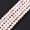 Natural Shell Beads SSHEL-G026-01A-2