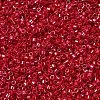 MIYUKI Delica Beads SEED-X0054-DB0214-2