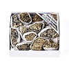 8~12Pcs Electroplated Natural Coal Quartz Geode Cornucopia Mineral Specimen G-N360-03C-1