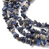 Natural Sodalite Chips Beads Strands F024-6