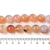 Natural Red Agate Beads Strands G-A248-A06-06-5