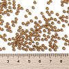 MIYUKI Round Rocailles Beads X-SEED-G008-RR4457-4