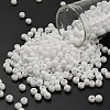 TOHO 6/0 Round Beads SEED-XTR06-0041F-1