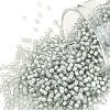 TOHO Round Seed Beads SEED-XTR11-0376-1