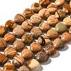 Natural Picture Jasper Beads Strands G-R190-10mm-49-2