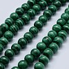 Natural Malachite Beads Strands G-F571-27AA1-6mm-1