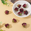 10Pcs Preserved Rose Pendants KY-TA0001-62-5