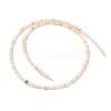 Natural Freshwater Shell Beads Strands SHEL-P017-01A-10-2