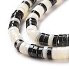 Natural Trochid Shell Beads Strands SSHEL-G023-02B-04-3