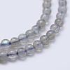 Natural Labradorite Beads Strands G-I206-46-3mm-3