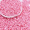 Baking Paint Glass Seed Beads X1-SEED-K010-A13-1
