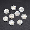 Shell Cabochons SSHEL-E568-B17-2