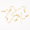 Iron Earring Hooks LS-X-E133-G-2