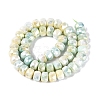 Anti-Tarnish Electroplate Glass Beads Strands LS-GLAA-T025-10mm-11P-3