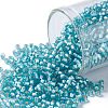 TOHO Round Seed Beads X-SEED-TR11-0023F-1